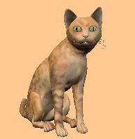 cat_th.jpg 1.9K