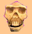 cromagnon_th.jpg 1.8K