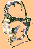 deepthunk.jpg 1.7K
