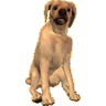dogy_th.gif 2.4K
