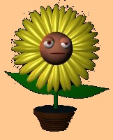flowie.jpg 1.8K