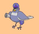 pigeon_th.jpg 1.6K