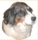 sampson_th.jpg 1.8K