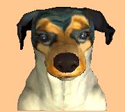 testbruce_th.jpg 1.9K