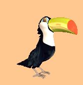 tuki_th.jpg 1.7K